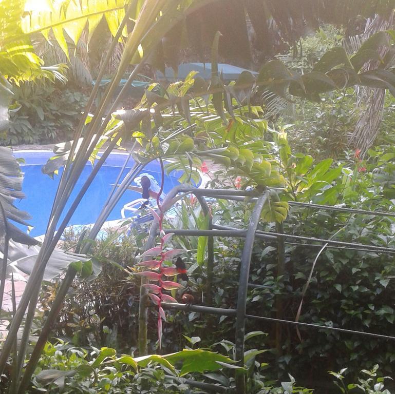 Jungle Villa Manuel Antonio Exterior photo