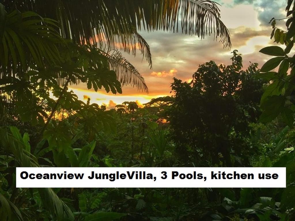 Jungle Villa Manuel Antonio Exterior photo