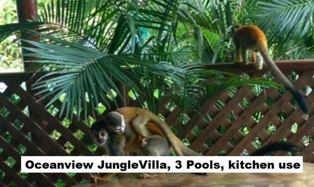 Jungle Villa Manuel Antonio Exterior photo
