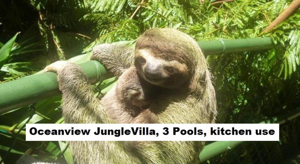 Jungle Villa Manuel Antonio Exterior photo